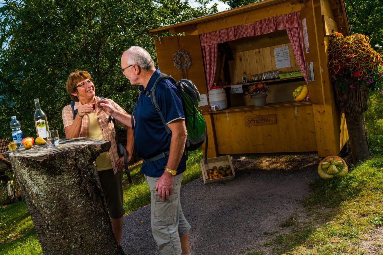 24 Touren im Renchtal