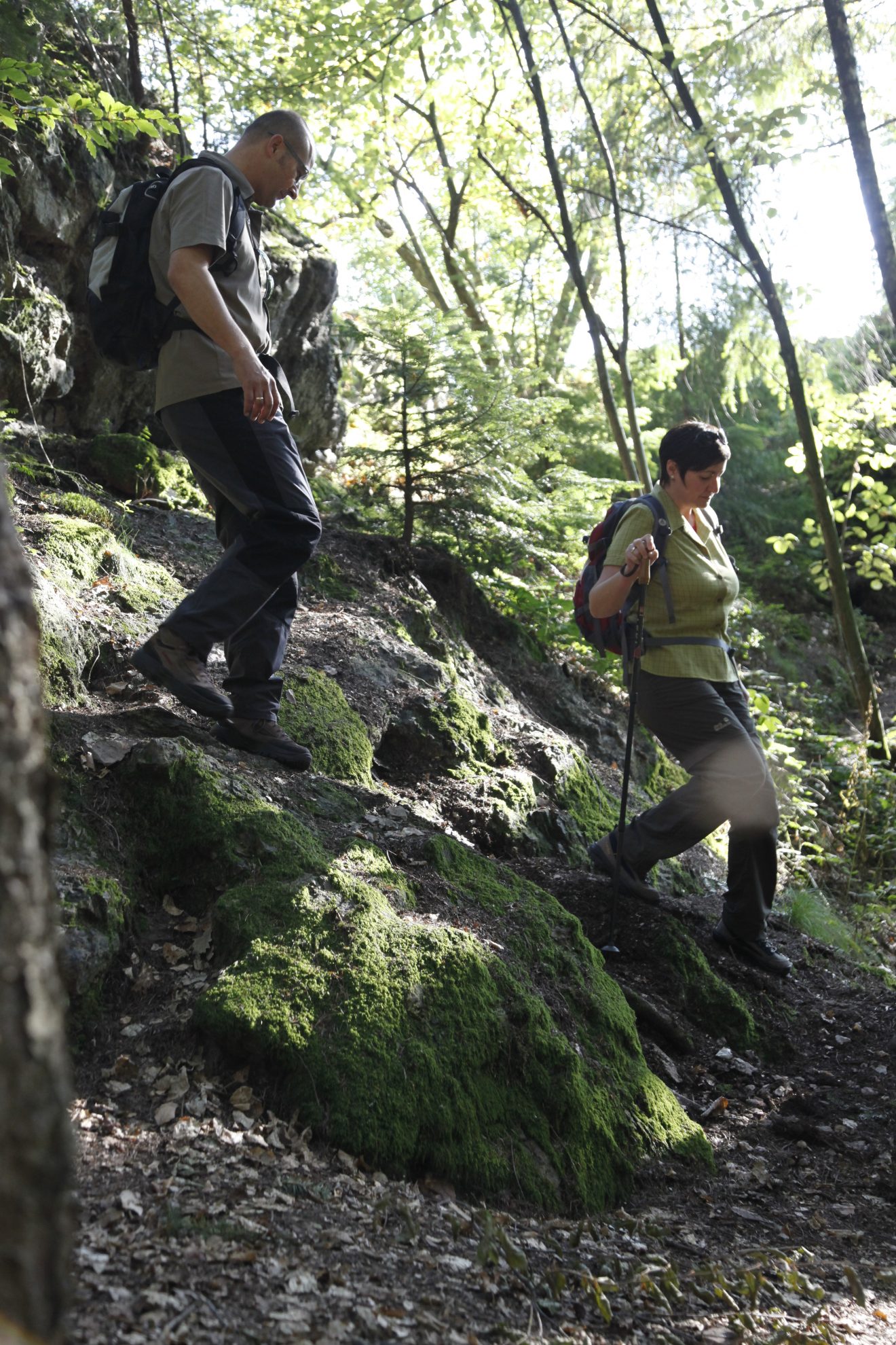 24 Touren im Renchtal