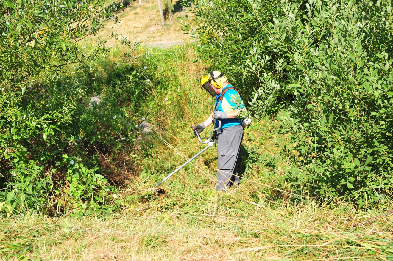 Herzenssache Natur in Kappelrodeck 2018