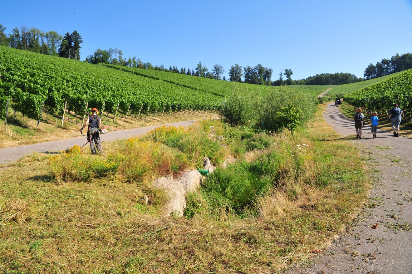 Herzenssache Natur in Kappelrodeck 2018