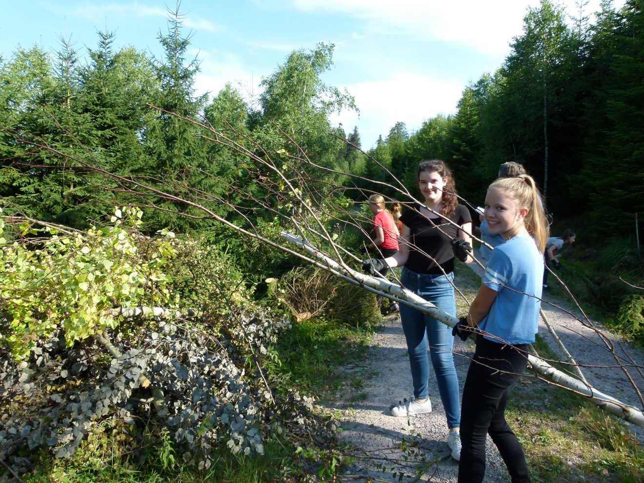Herzenssache Natur: Habitatpflege Auerhuhn in Baden-Baden