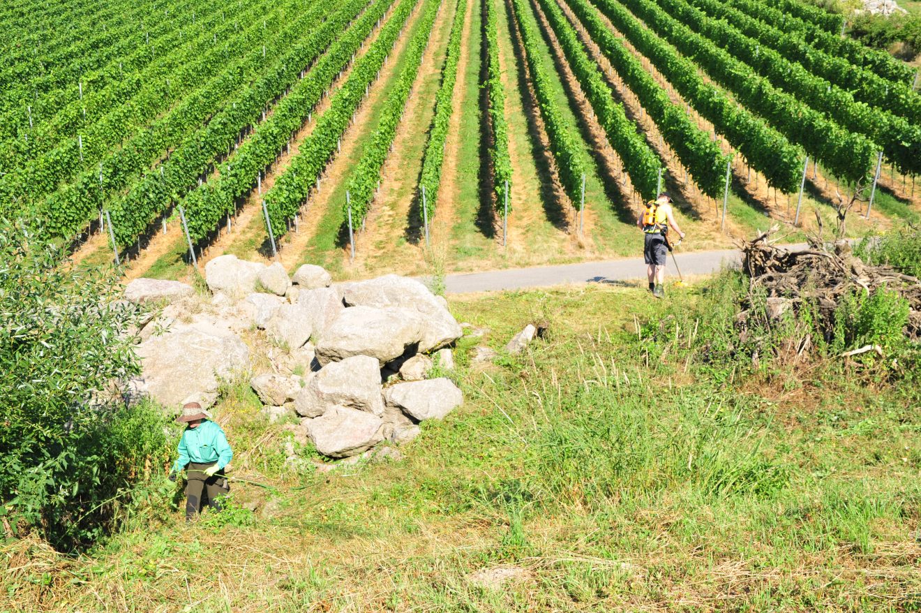 Herzenssache Natur in Kappelrodeck 2018
