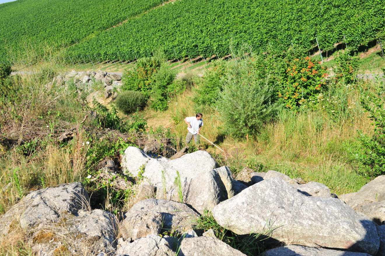 Herzenssache Natur in Kappelrodeck 2018