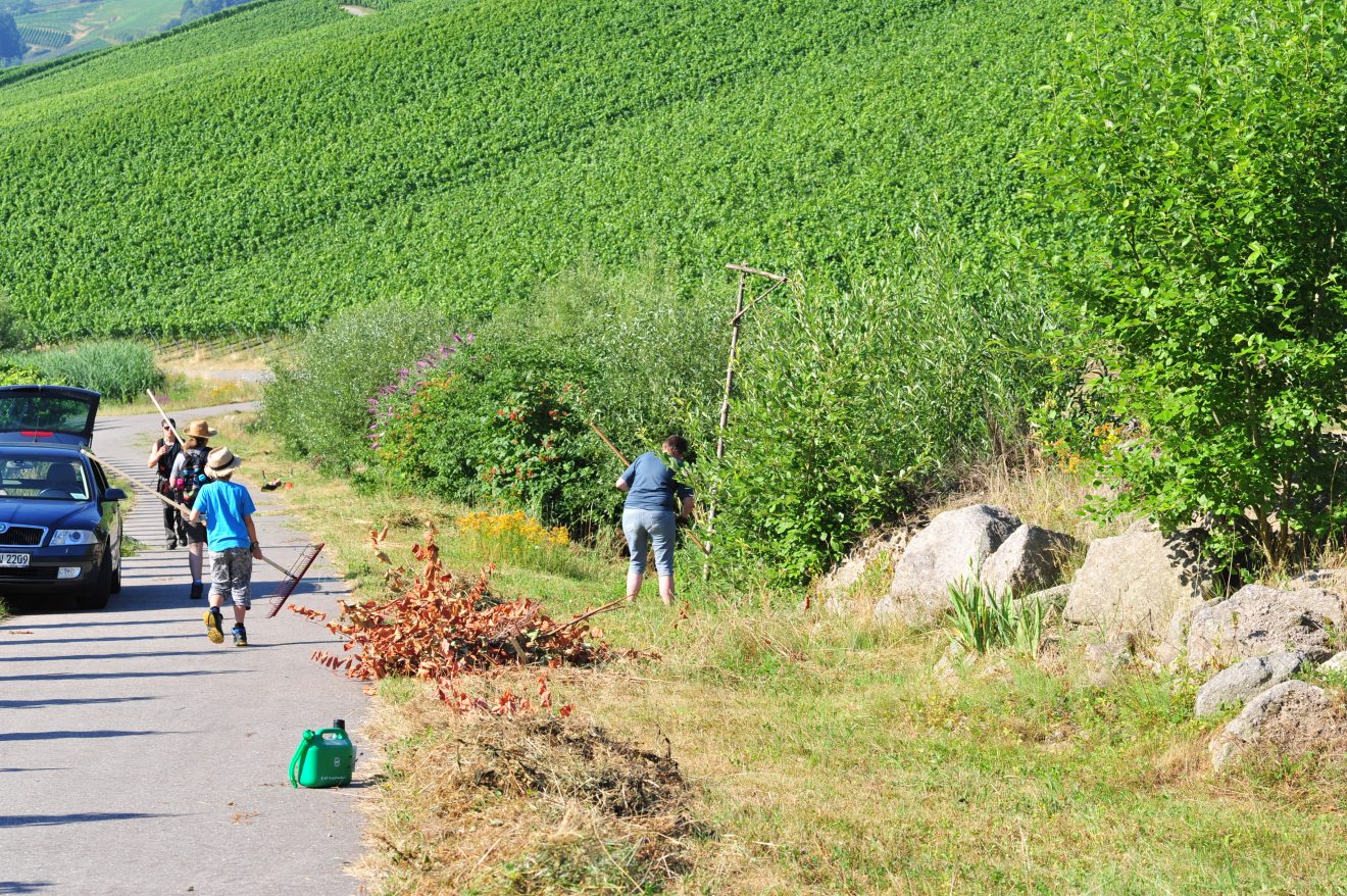 Herzenssache Natur in Kappelrodeck 2018