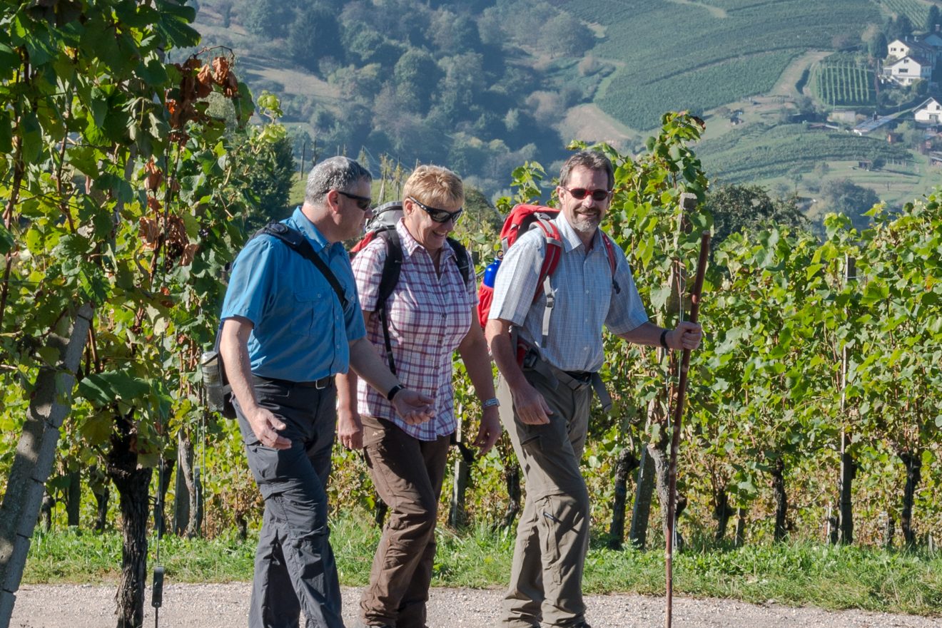 Gästebuch Naturpark-Augenblick Bühlertal