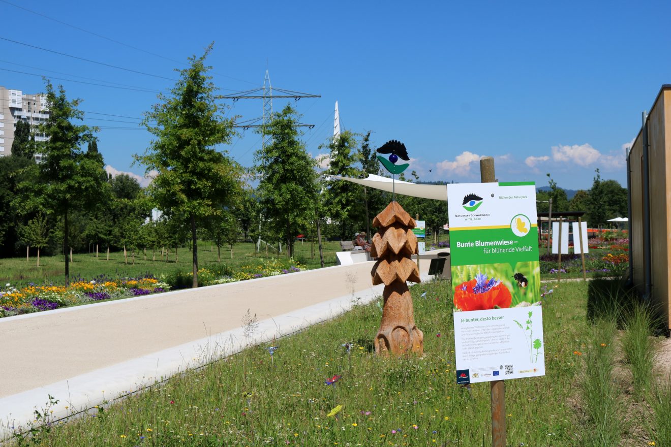 Blühender Naturpark auf der Landesgartenschau Lahr 2018
