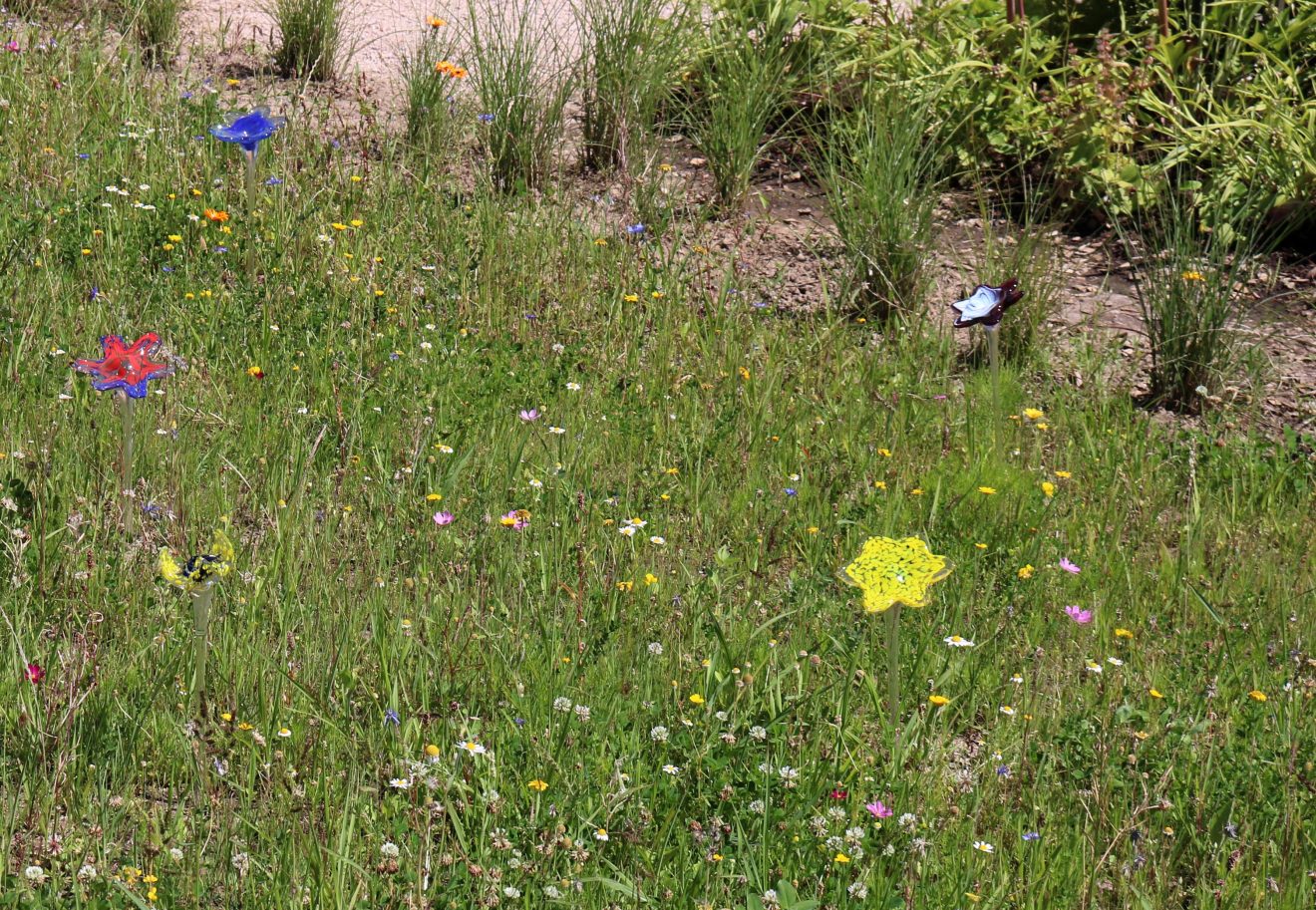 Blühender Naturpark auf der Landesgartenschau Lahr 2018