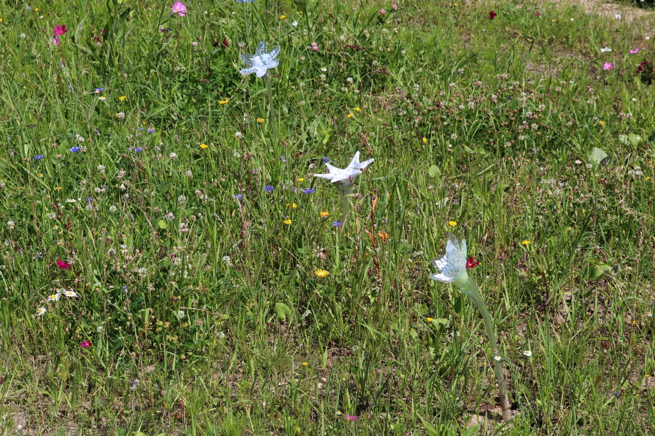 Blühender Naturpark auf der Landesgartenschau Lahr 2018