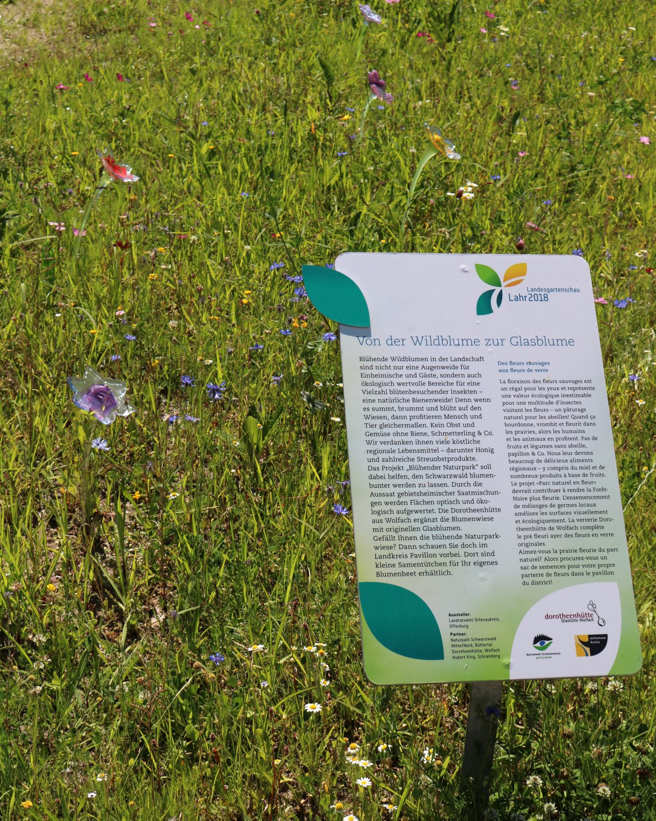 Blühender Naturpark auf der Landesgartenschau Lahr 2018