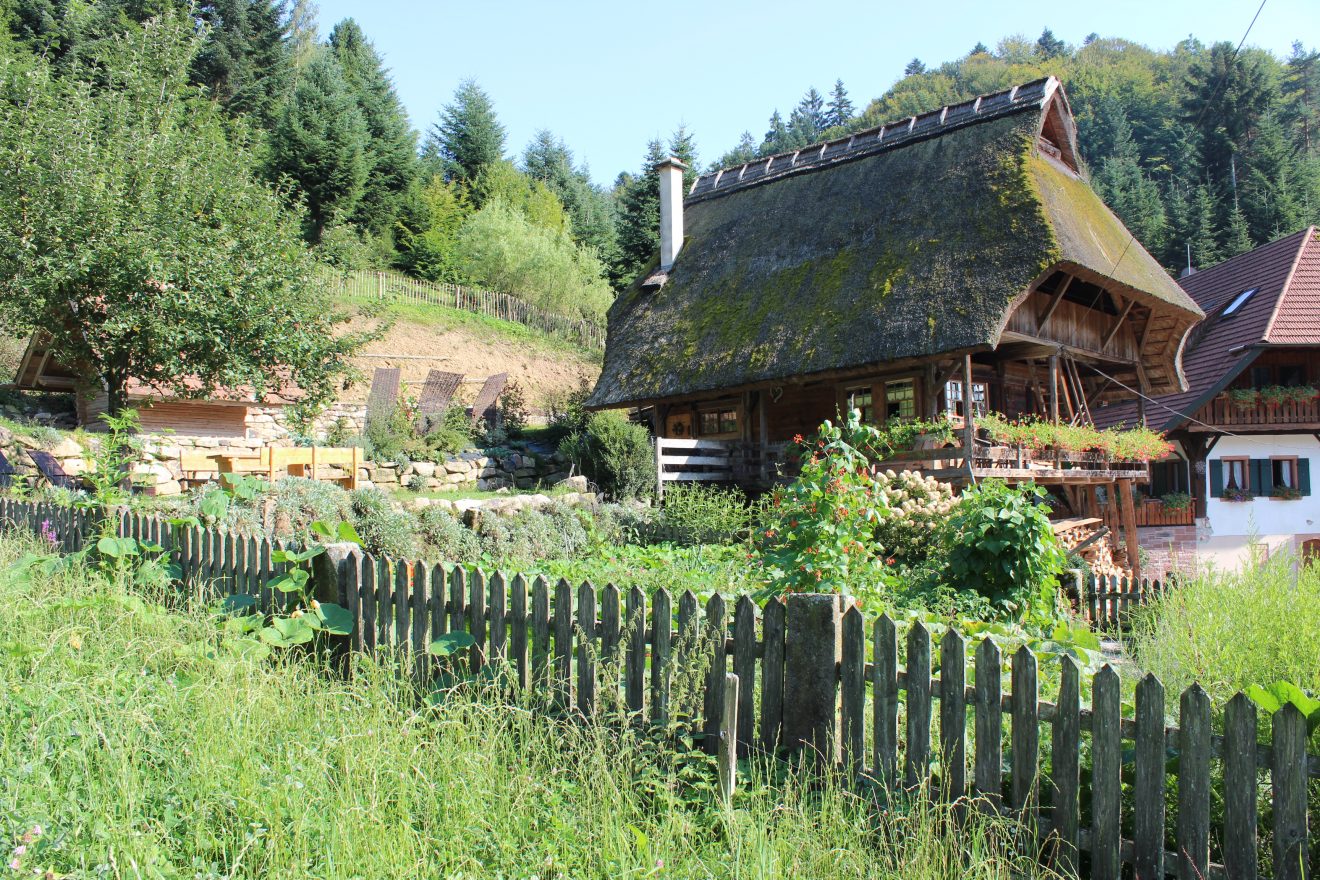 Ferien auf dem Ramsteinerhof