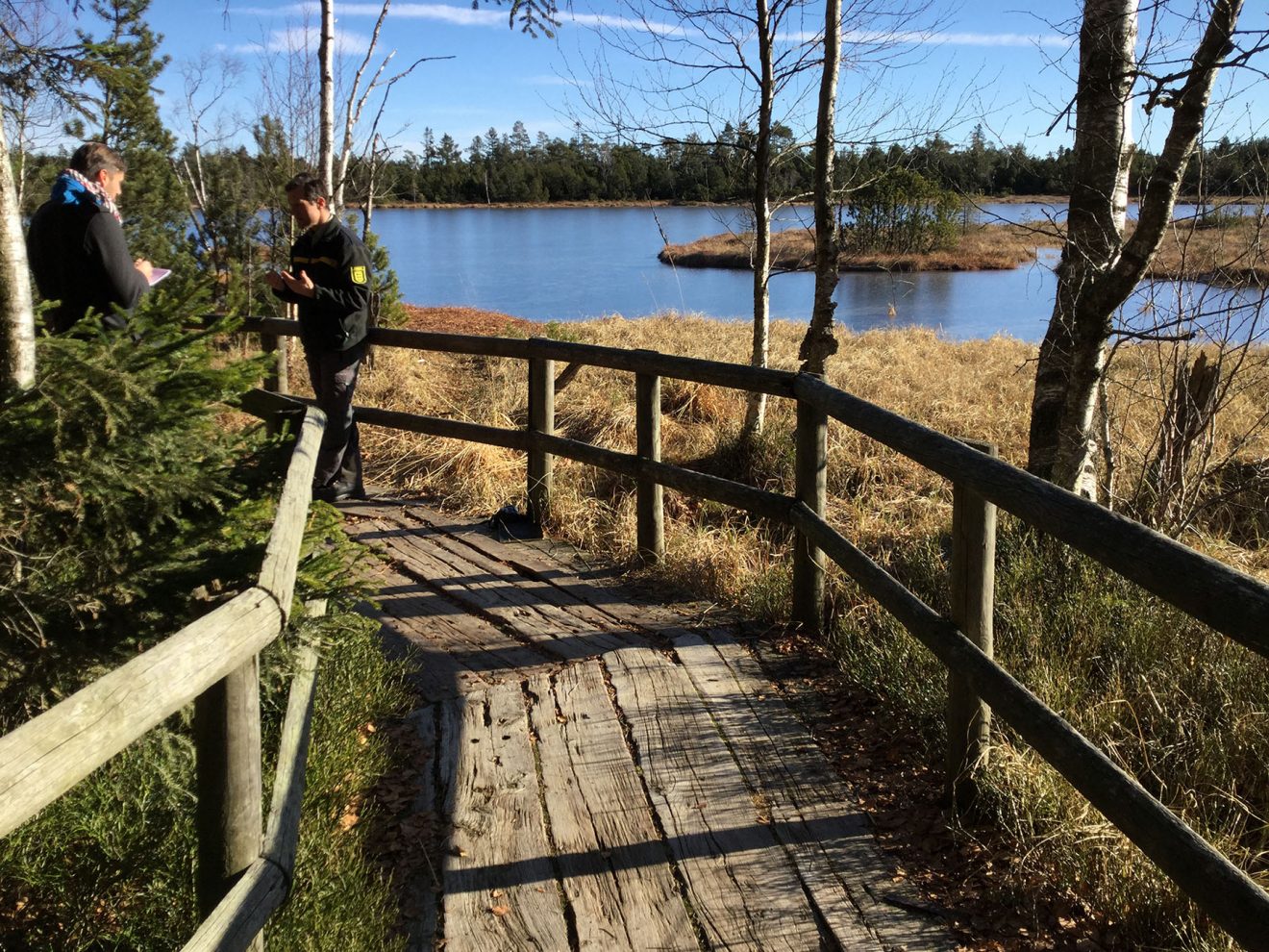 Naturpark-Markt Infozentrum Kaltenbronn