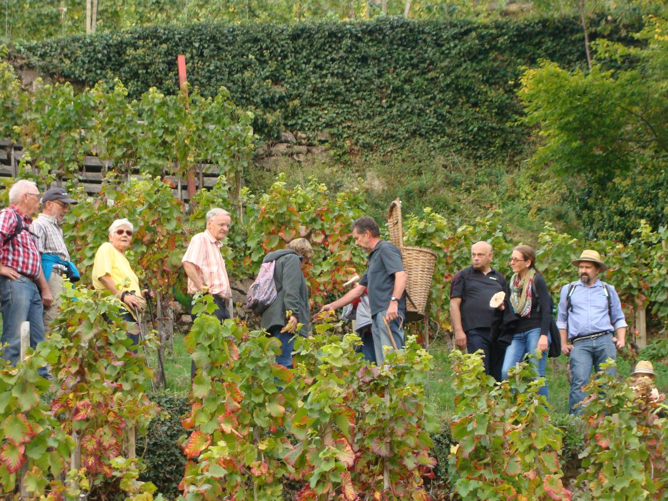 Zauberherbst auf dem Engelssteig