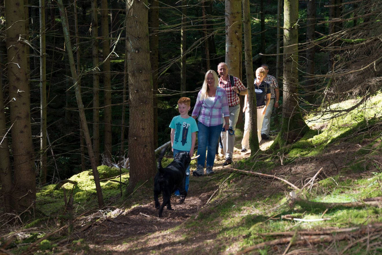 Naturpark-Augenblick-Runde Bad Teinach-Zavelstein