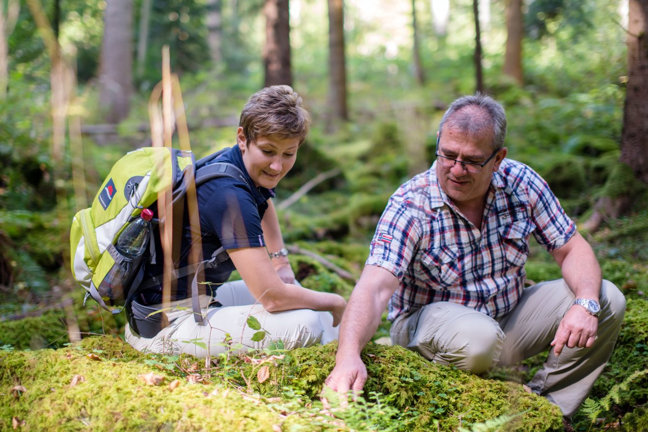 Naturpark-Augenblick-Runde Bad Teinach-Zavelstein