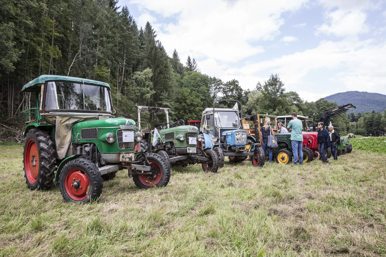 3. Mühlengeburtstag Geroldsauer Mühle