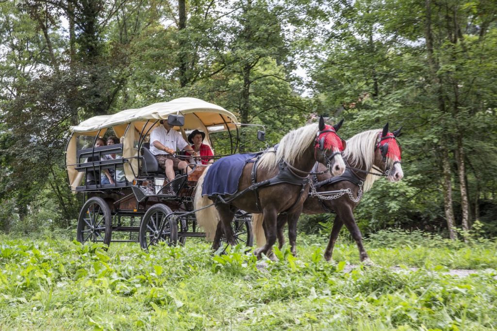 3. Mühlengeburtstag Geroldsauer Mühle