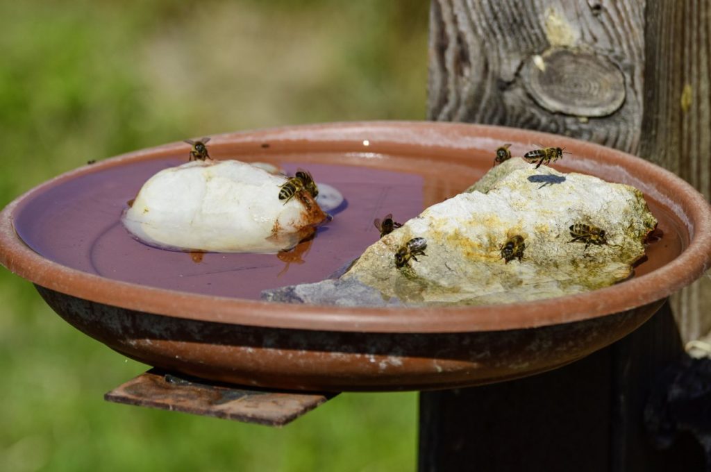 Gebt den Bienen Wasser