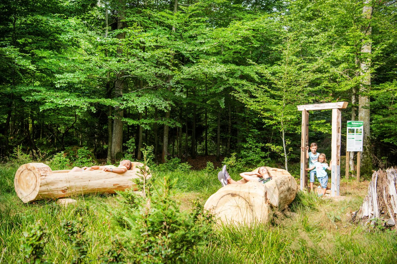 Waldbaden in Bad Wildbad