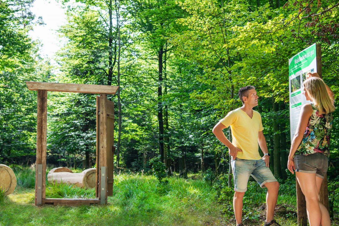 Waldbaden in Bad Wildbad