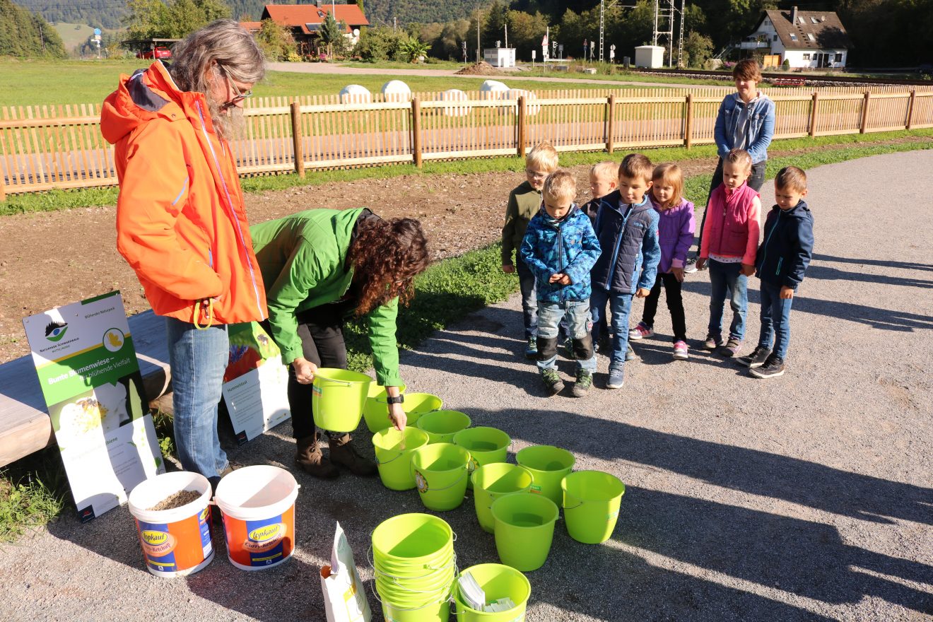 Blühender Naturpark im Schwarzwälder Freilichtmuseum Vogtsbauernhof
