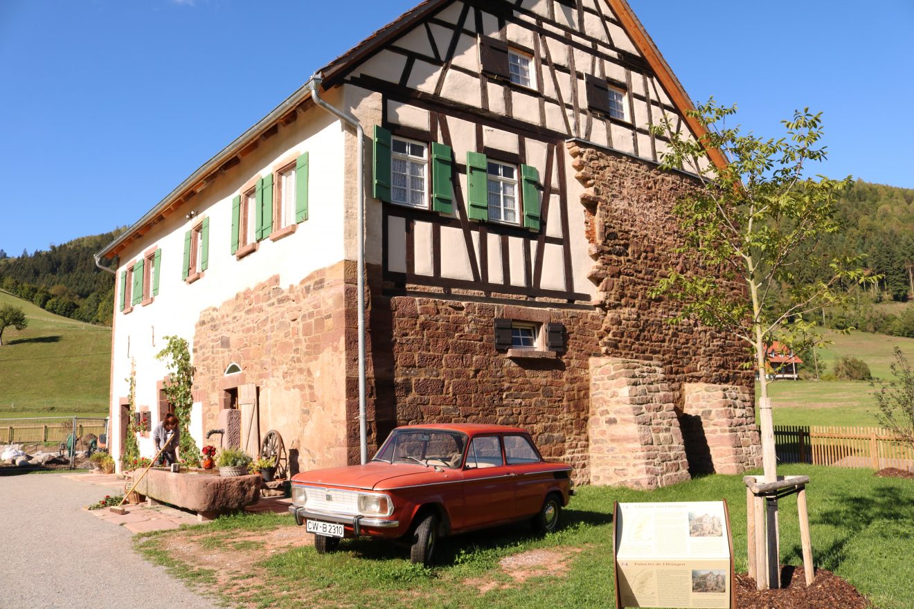 Blühender Naturpark im Schwarzwälder Freilichtmuseum Vogtsbauernhof