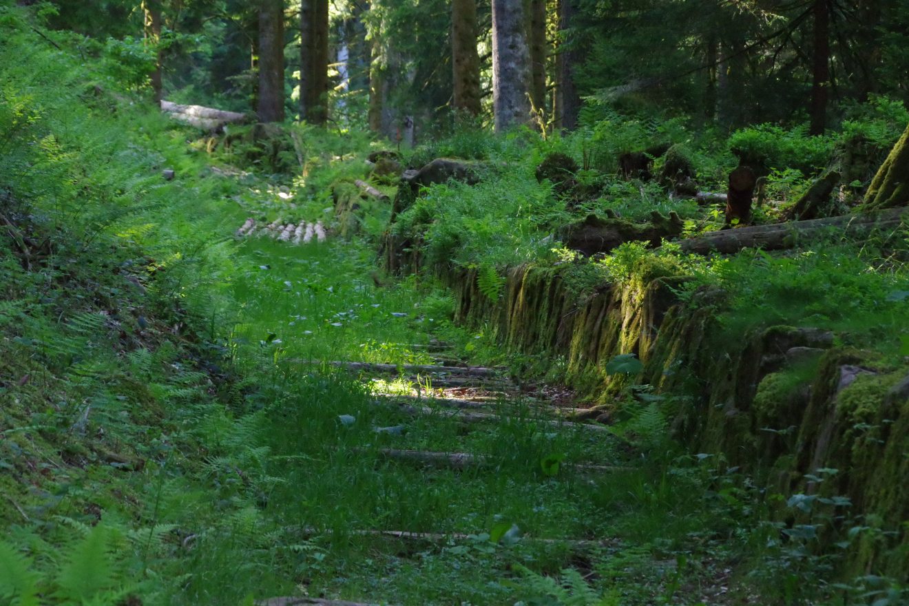 Kintigtäler Flößerwoche