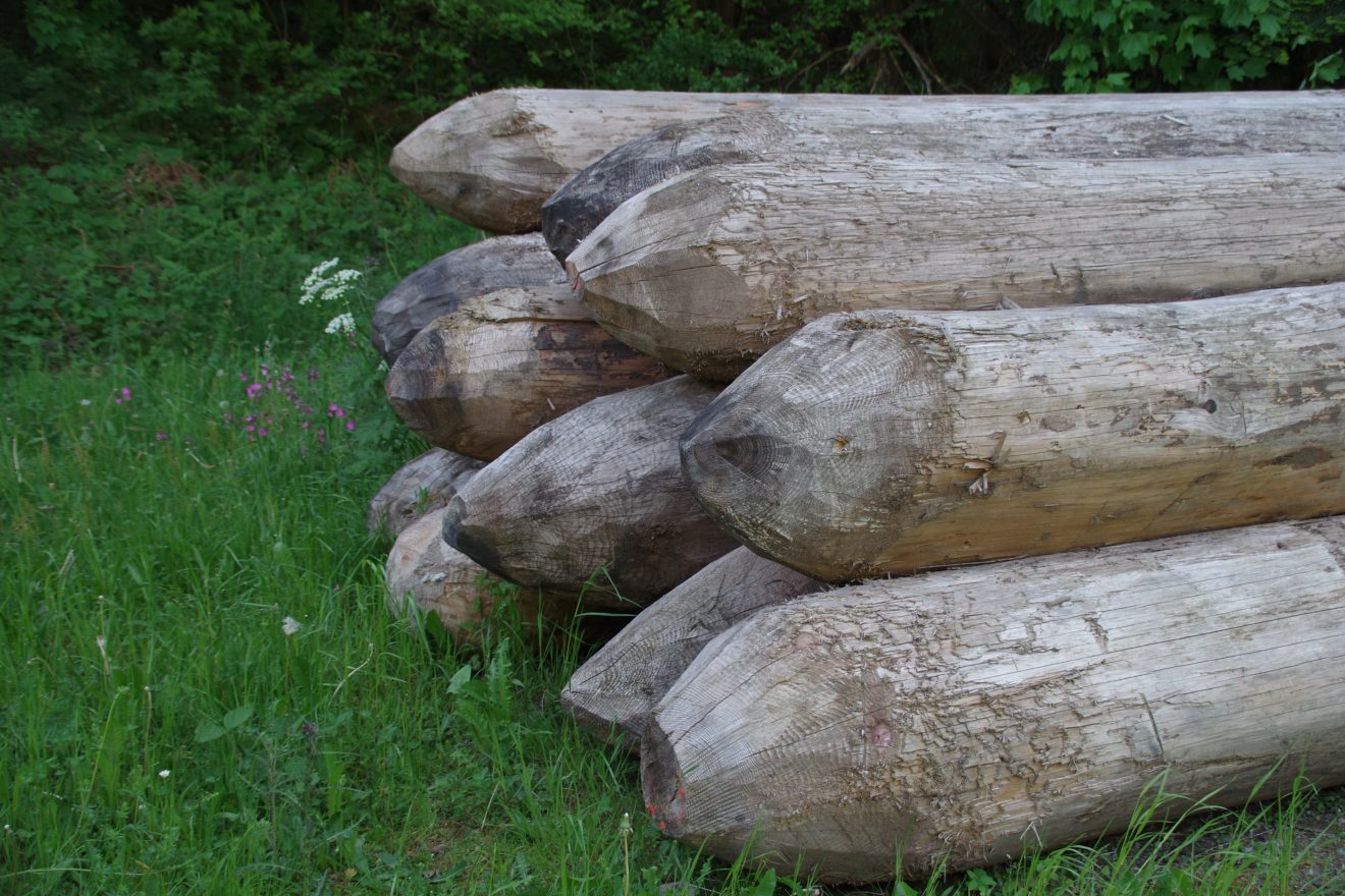 Kintigtäler Flößerwoche