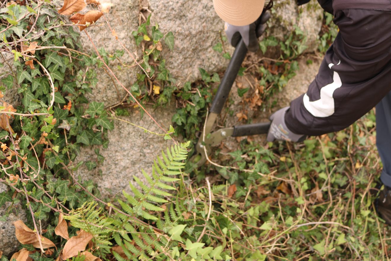 Herzenssache Natur Engelsberg Bühlertal