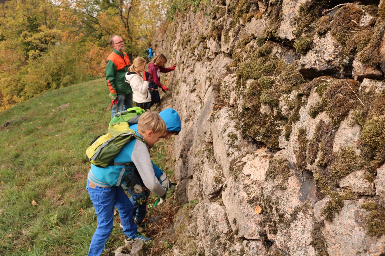 Herzenssache Natur Engelsberg Bühlertal