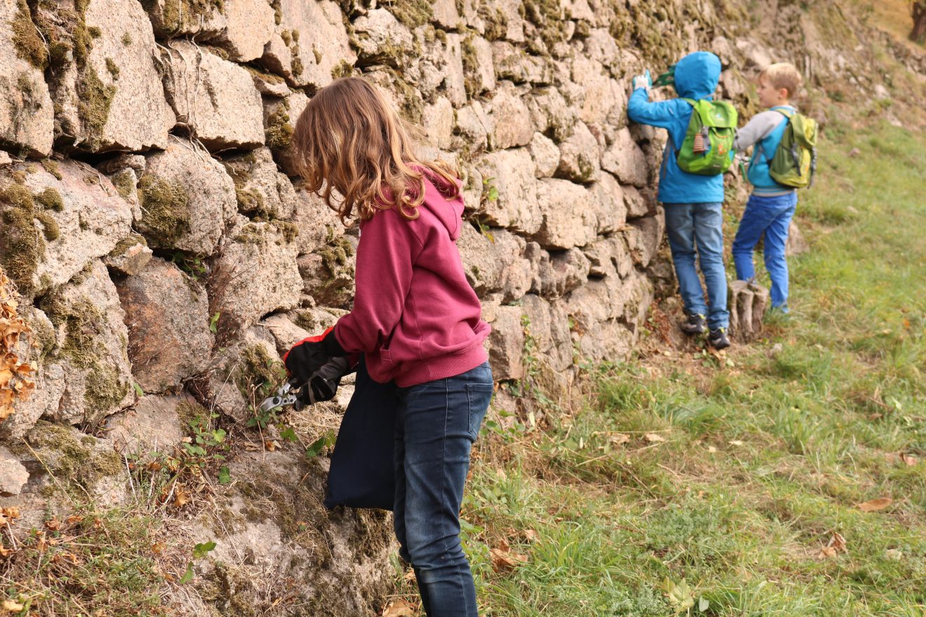 Herzenssache Natur Engelsberg Bühlertal