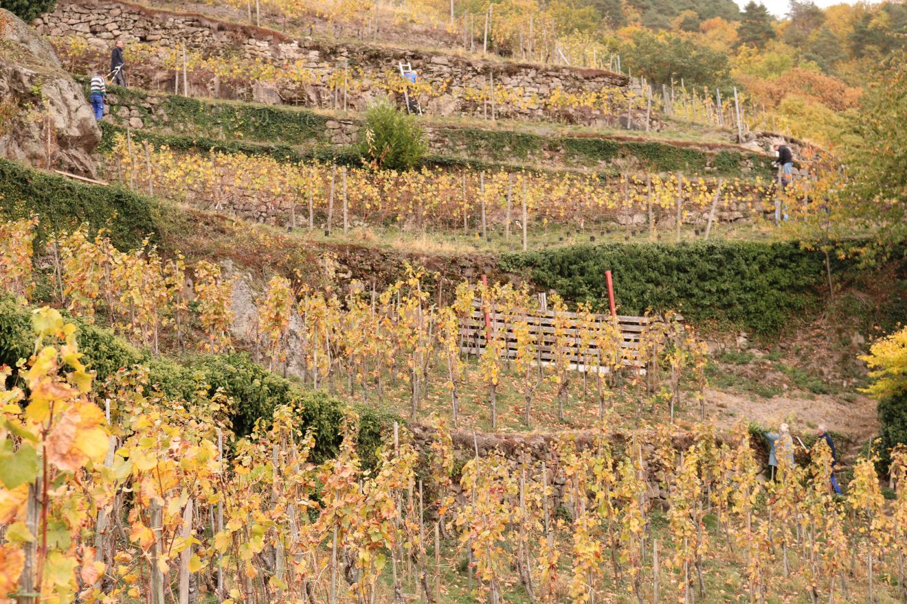 Herzenssache Natur Engelsberg Bühlertal