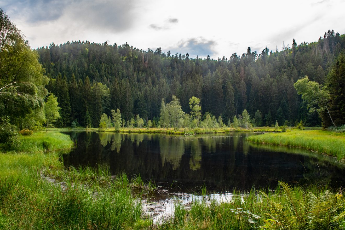 Karseen im Naturpark Schwarzwald Mitte/Nord