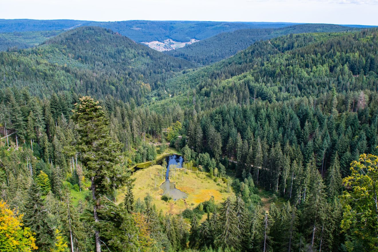 Karseen im Naturpark Schwarzwald Mitte/NordKarseen im Naturpark Schwarzwald Mitte/Nord