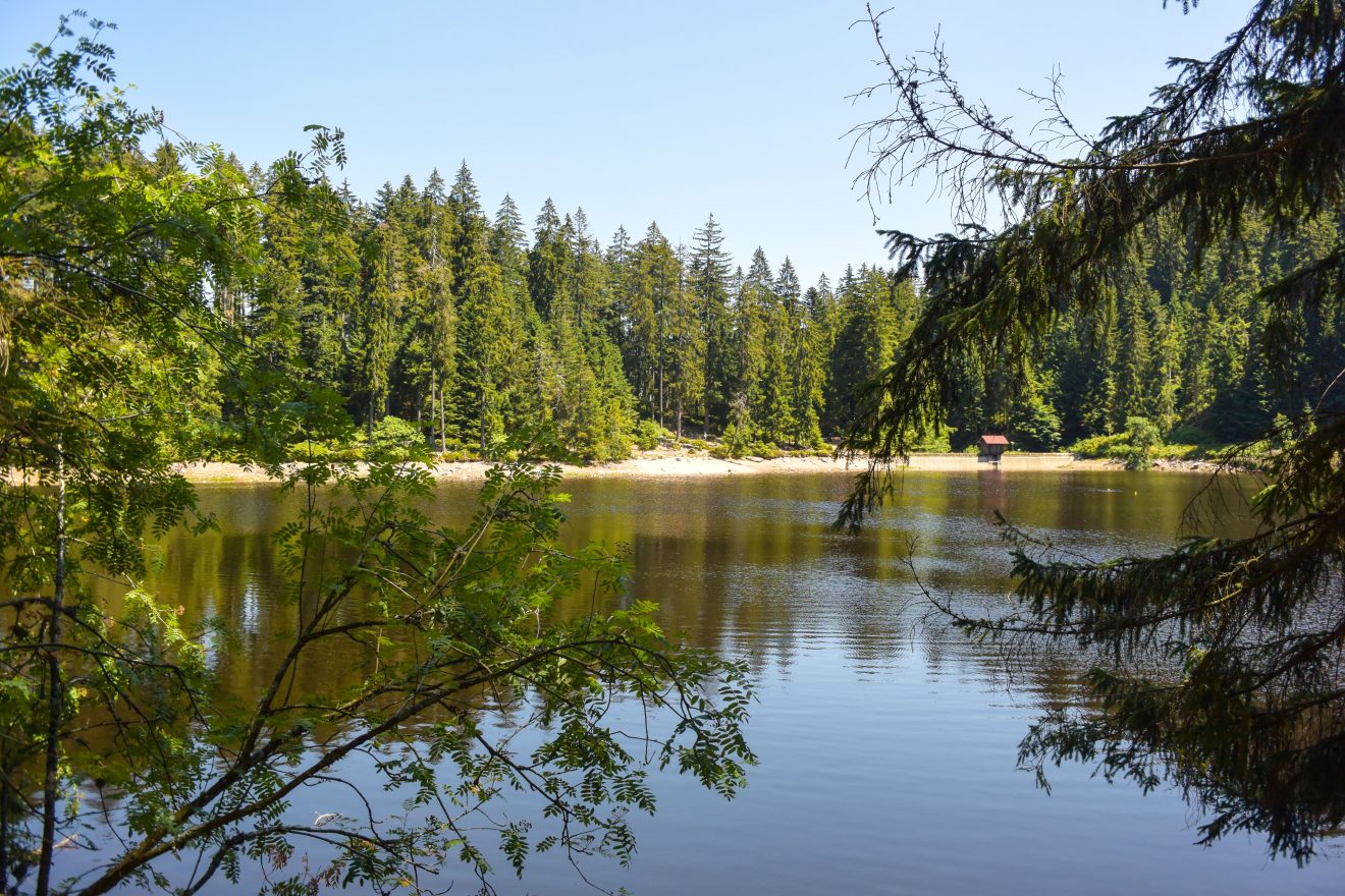 Karseen im Naturpark Schwarzwald Mitte/Nord