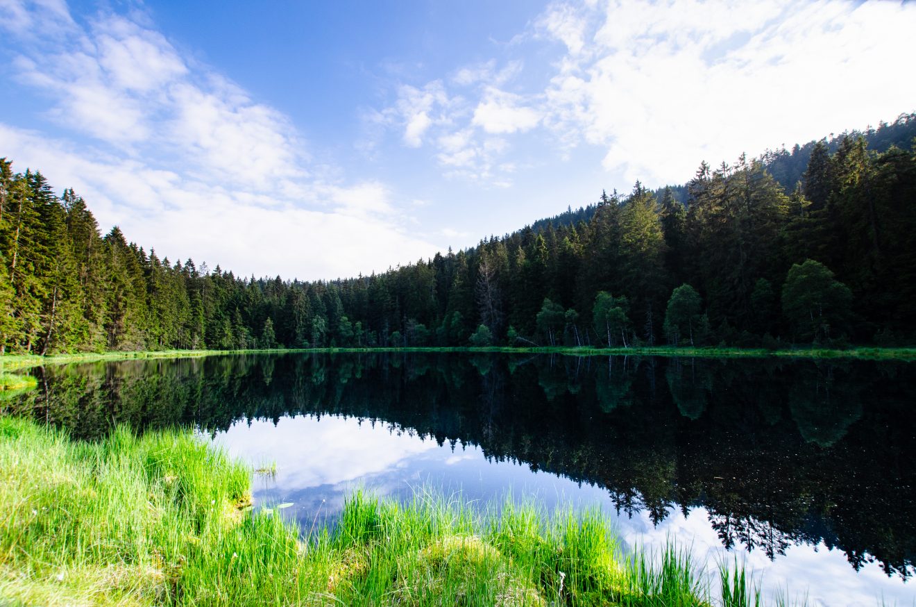 Karseen im Naturpark Schwarzwald Mitte/Nord