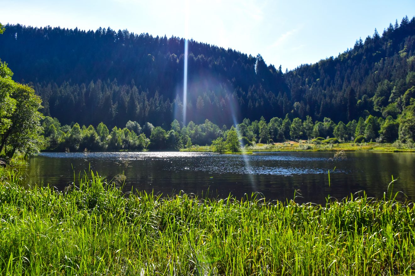 Karseen im Naturpark Schwarzwald Mitte/Nord