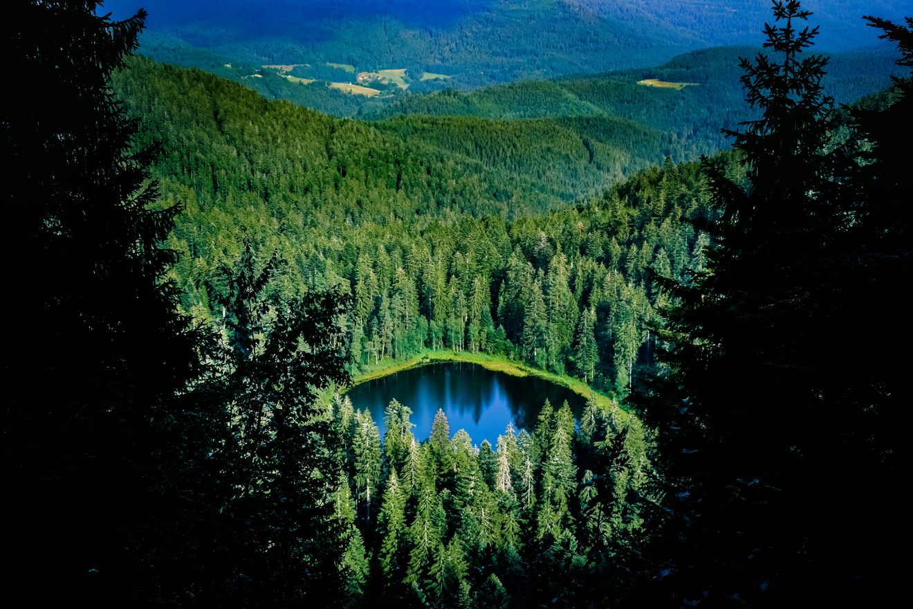 Karseen im Naturpark Schwarzwald Mitte/Nord
