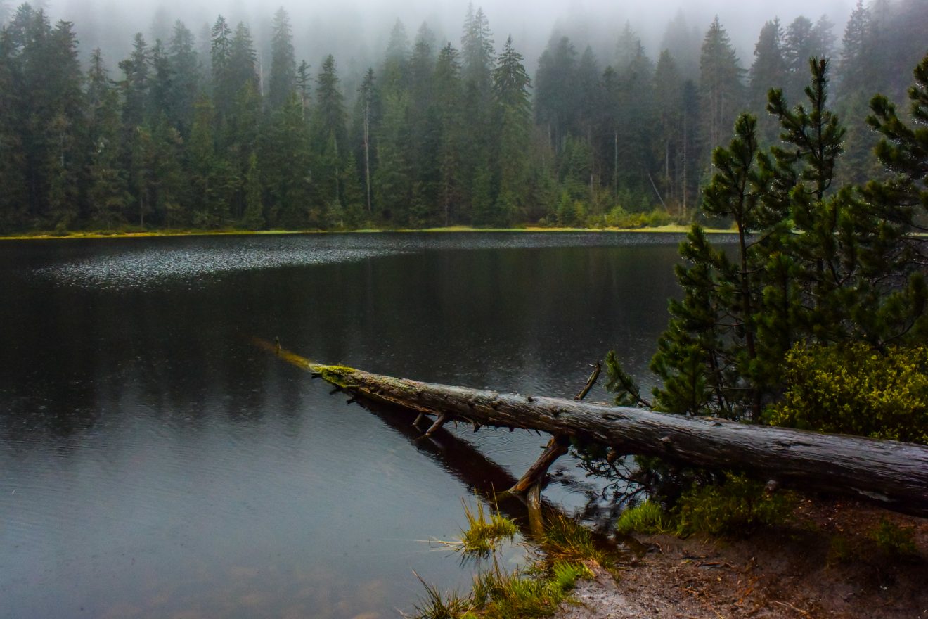 Karseen im Naturpark Schwarzwald Mitte/Nord