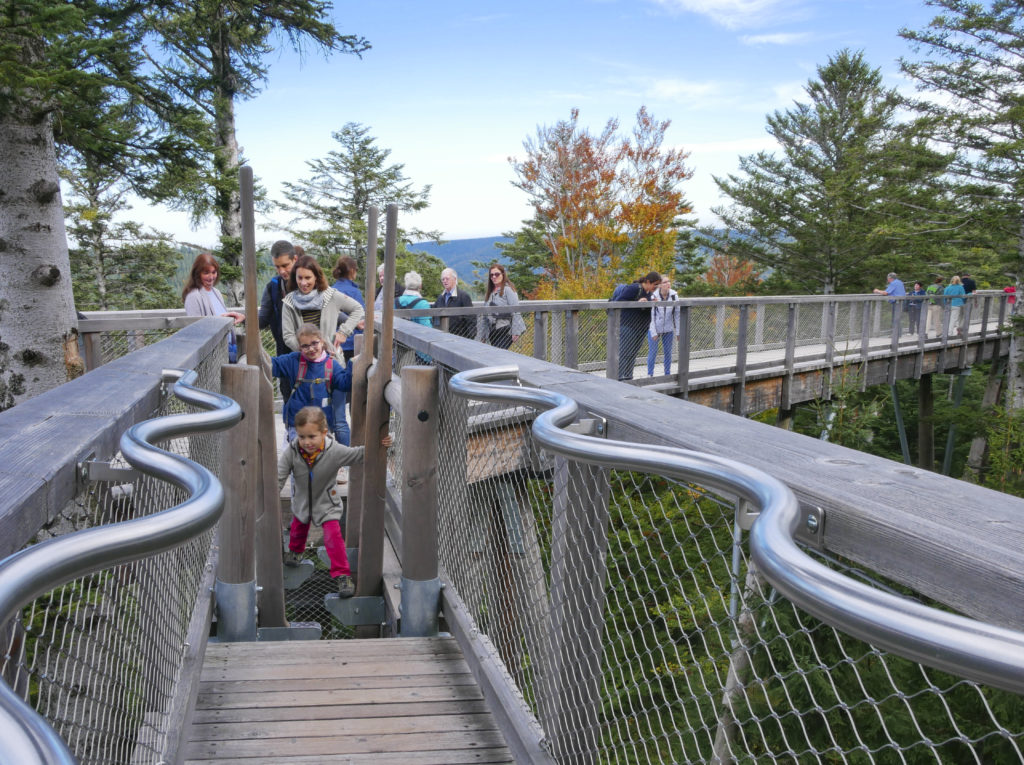 Baumwipfelpfad im Farbenrausch - Herbstveranstaltungen