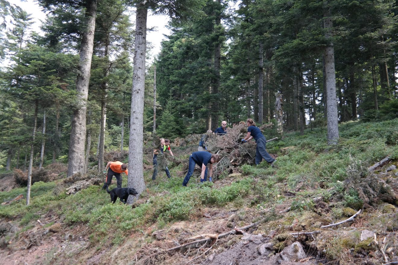 Duravit - Partner und Förderer des Naturparks Schwarzwald