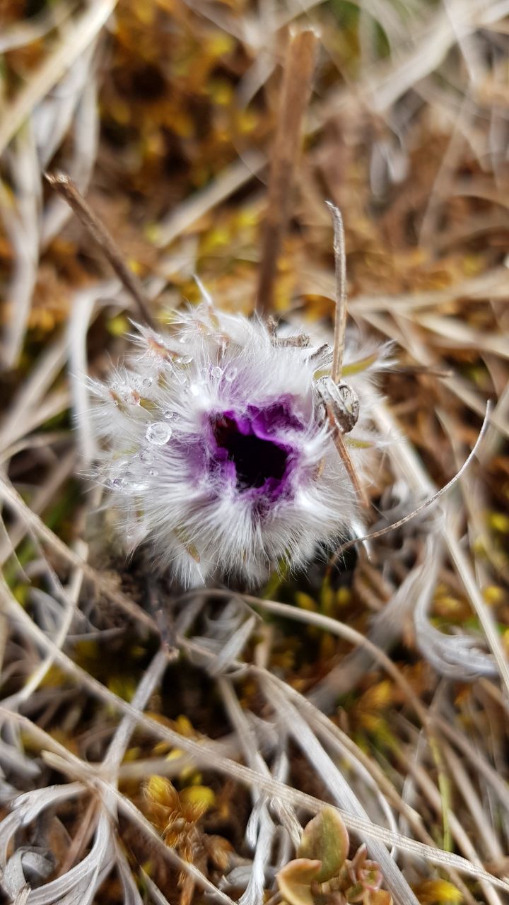 Fotowettbewerb "Schwarzwald unter der Lupe" 2018
