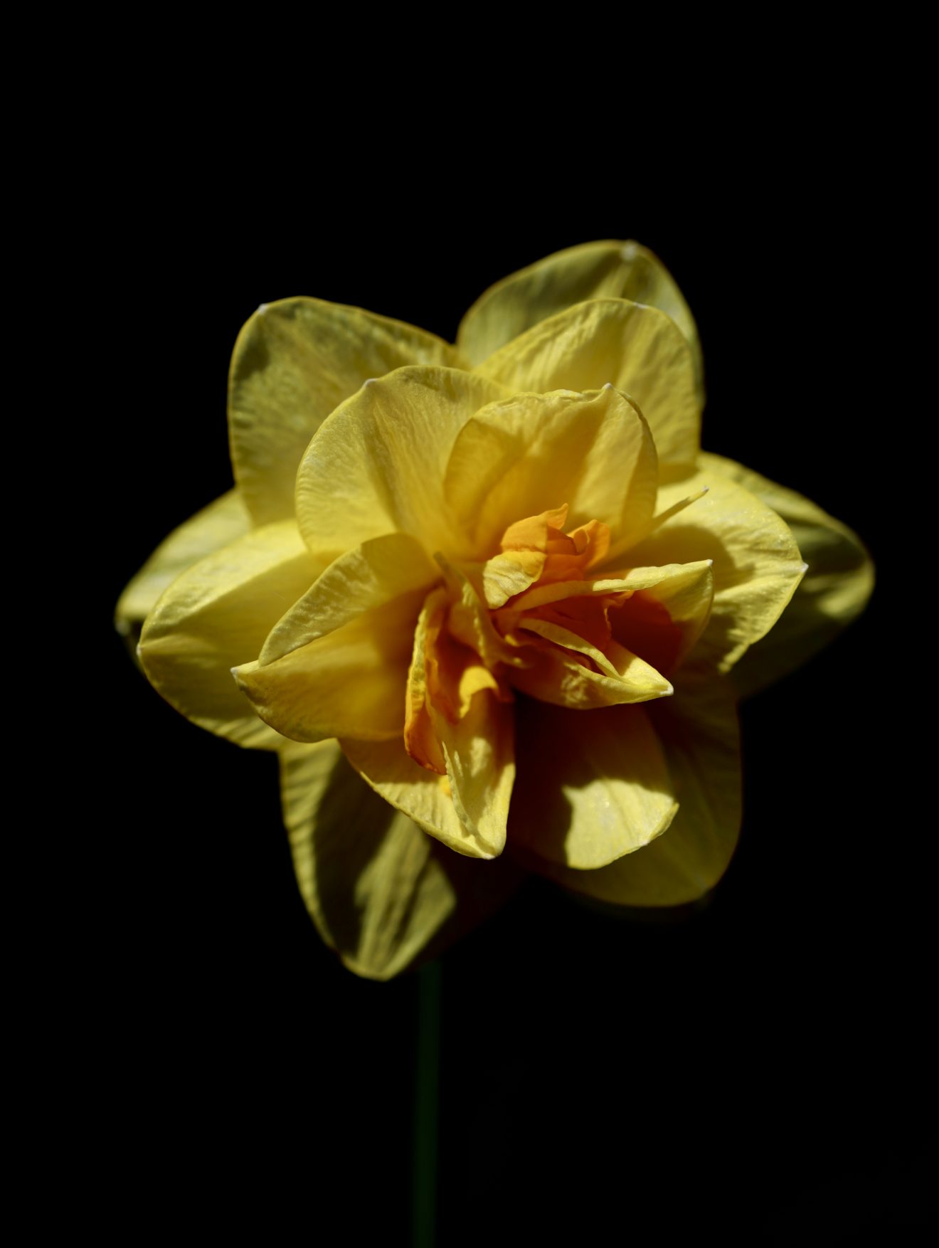 Fotowettbewerb "Schwarzwald unter der Lupe" 2018