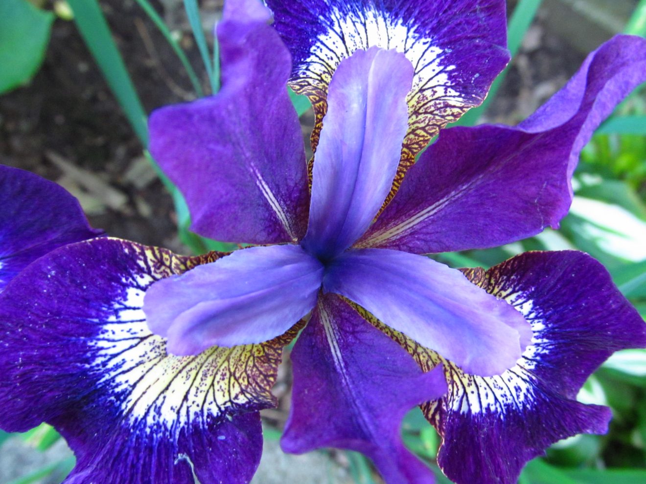 Fotowettbewerb "Schwarzwald unter der Lupe" 2018