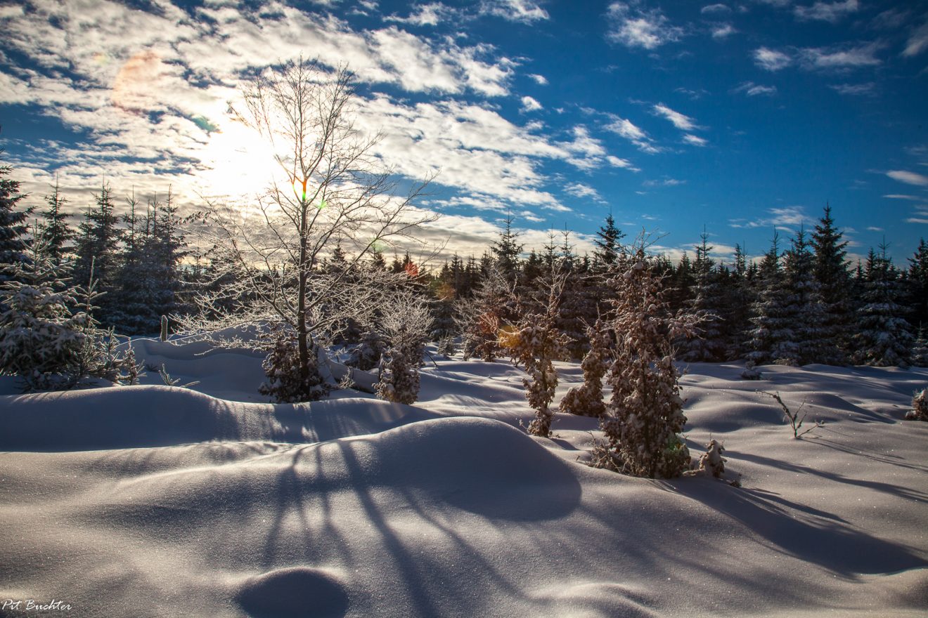 Wintervergnügen im Naturpark Schwarzwald Mitte/Nord
