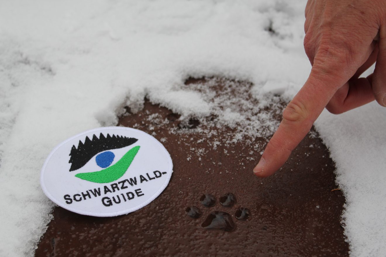 Wintervergnügen im Naturpark Schwarzwald Mitte/Nord