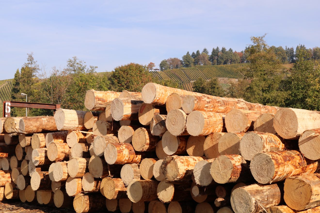 Sägewerk Keller - Förderer des Naturparks