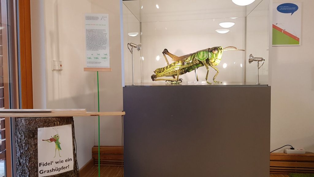 Wintervergnügen im Naturpark Schwarzwald Mitte/Nord