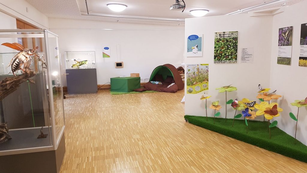 Wintervergnügen im Naturpark Schwarzwald Mitte/Nord