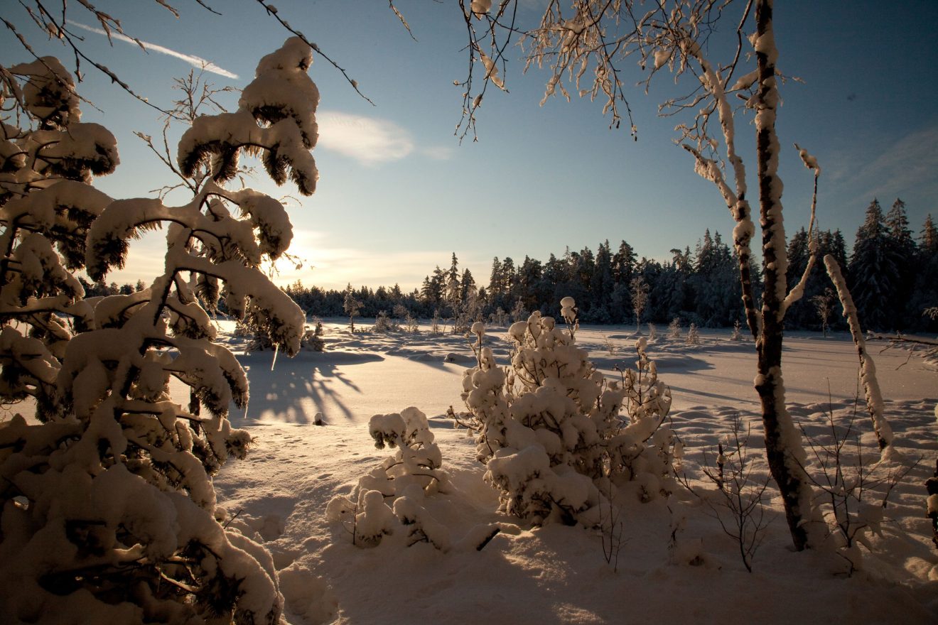 Wintervergnügen im Naturpark Schwarzwald Mitte/Nord