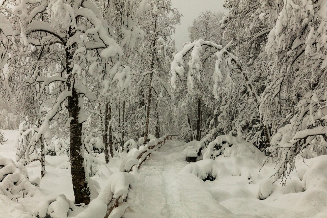 Wintervergnügen im Naturpark Schwarzwald Mitte/Nord